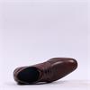 Tommy Bowe Capilla Laced Dress Shoe - Whiskey